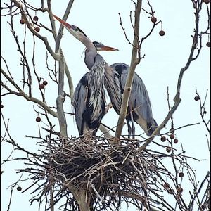 Meet your Posher, Dawne